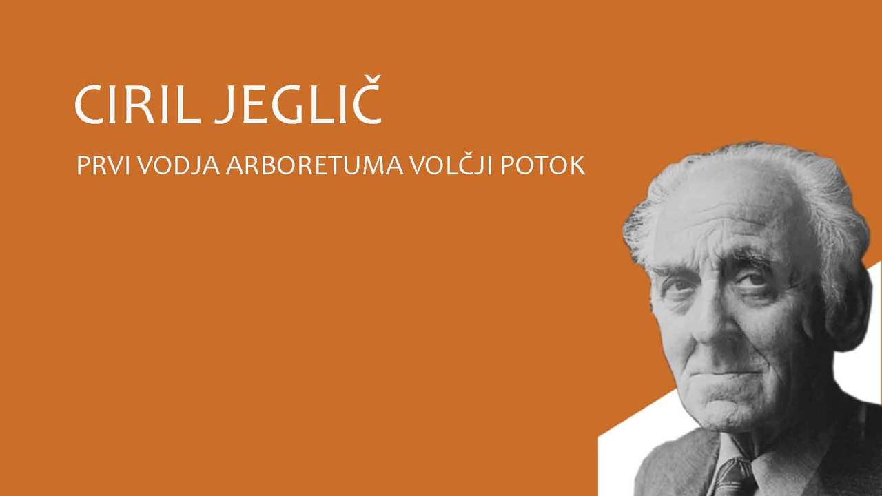 Ciril Jeglič, prvi vodja Arboretuma Volčji Potok