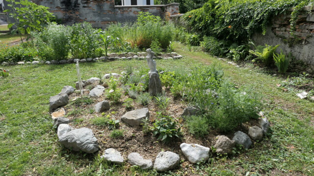 Smutiji in napitki vseh vrst za zdravje, delavnica
