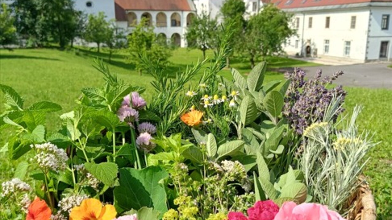 Dorotejina zeliščna zgodba, zeliščni vikend
